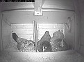 Chicken House 4-5-2011 22h56