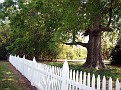 P4243964