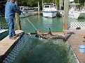 IMG 3388