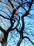 DSCF0009