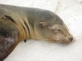 IMG_4174.JPG