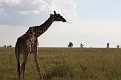 IMG_2433.JPG
