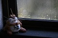 IMG 5675