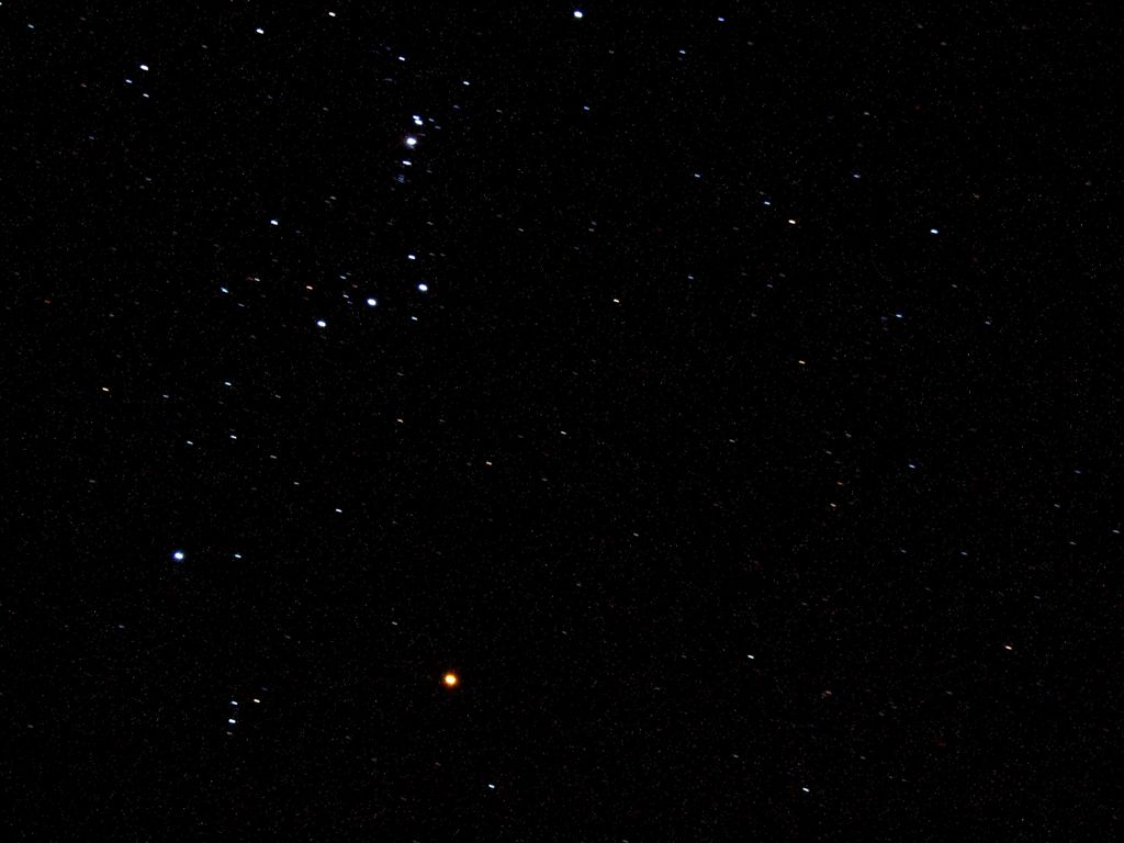 southern night sky at wilber 005 - orion