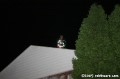 IMG 4356