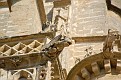 DSC 6461