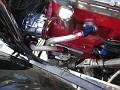 IMG 0042