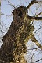 _MG_6707.jpg