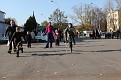 yarmarka 3134