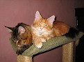 IMG 2830