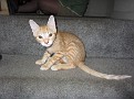 IMG 4359