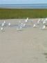 DSCF0025