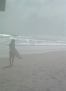 DSCF0005