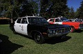 IMG 7134