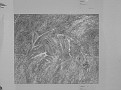CIMG1537
