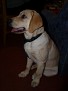 Perry5month 2 12 06 (1)