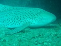 Resize of DSC00492.JPG