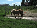 IMG 0547