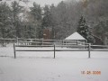 Oct. 25th snowstorm