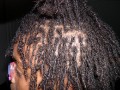 DSCN0189