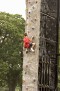 IMG 3102