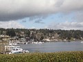 IMG 5564