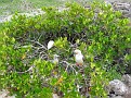 IMG_4214.JPG