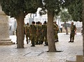 IMG 1936