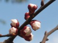 IMG_8973.JPG