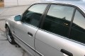 IMG 4782