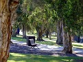 Parramatta River walk 009