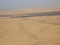 AN OLIVE GROVE APPROACHING AMMAN.