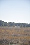 DSC 3131 292