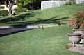 IMG 6178