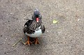 IMG_3753.jpg