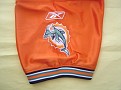 0A-Dolphins8-B05