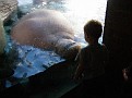 San Diego May 2010 294.jpg