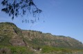 IMG 0102