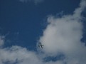 IMG 3591