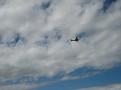 IMG 3605