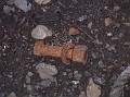 100_2154.JPG
