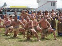 IMG 3613