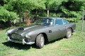 cruise nights 20050030