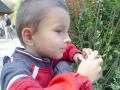 DSC09380