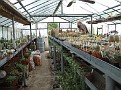 064. you can see this is a nursery.