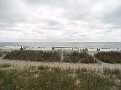 P1013820.JPG