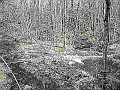 P1020694vi-vi.jpg