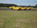 IMG 3657