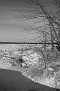 IMG 0089a