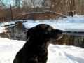Barney Feb 9 2003